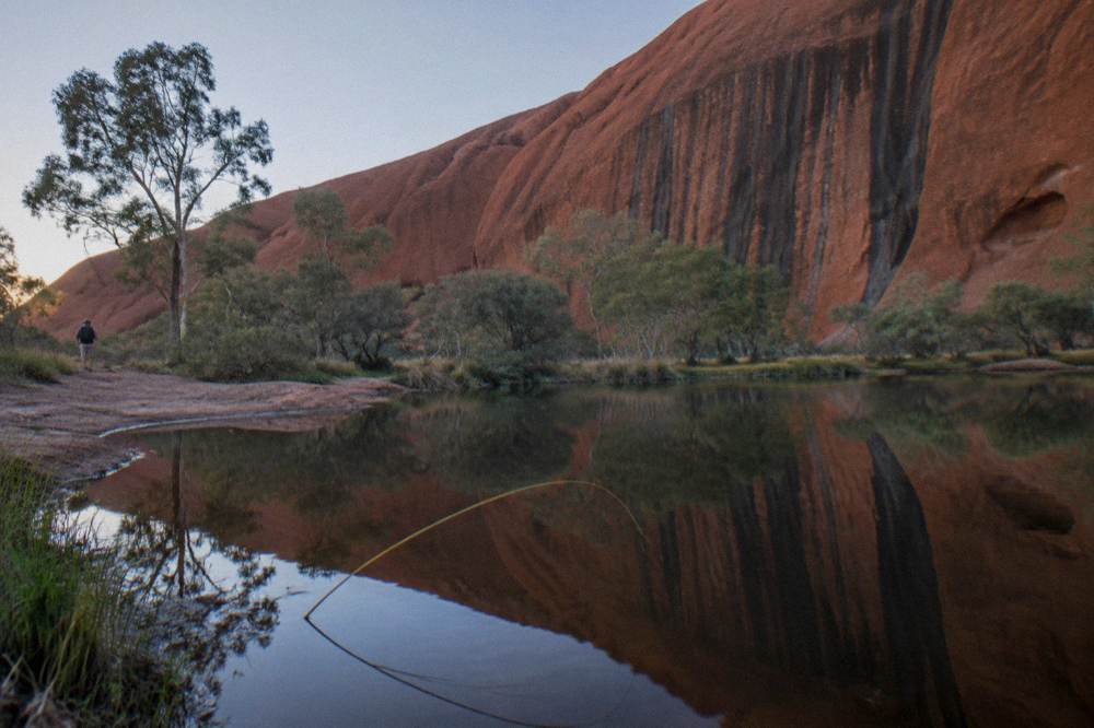 A quiet waterhole at the base of Uluru reflecting rock walls and desert trees in early morning light