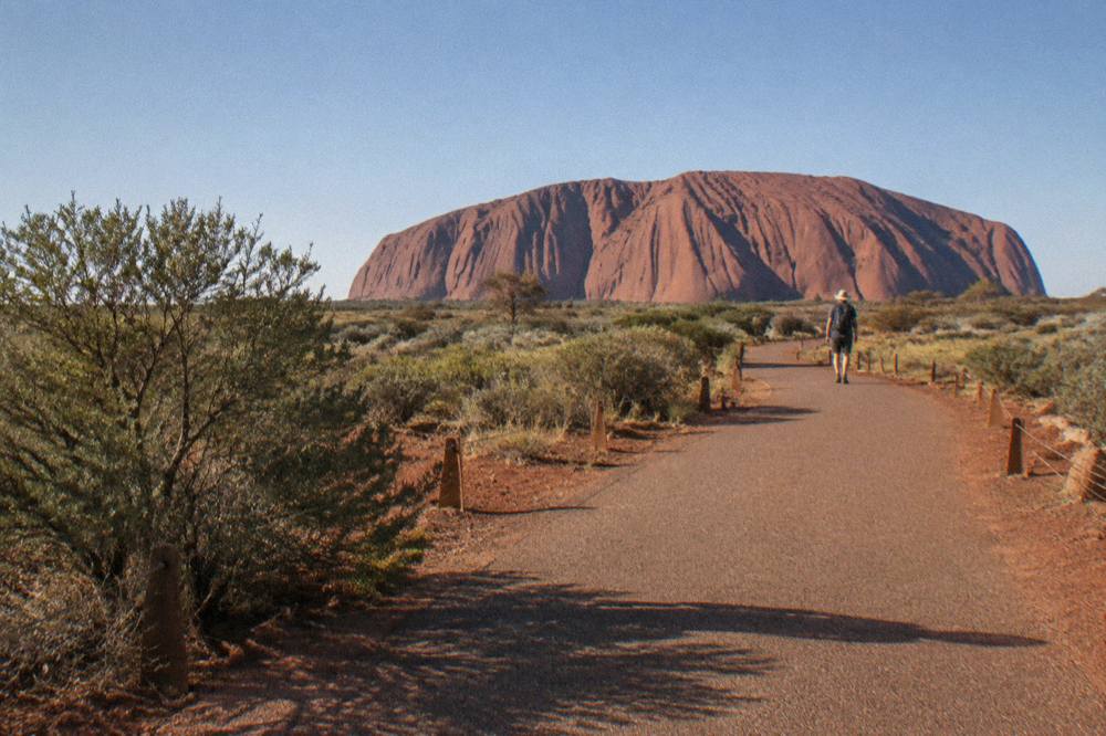A red dirt walking track curving along the base of Uluru with low shrubs beside it