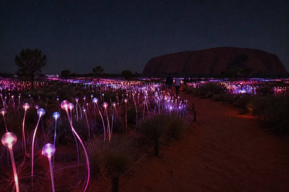 Coloured light stems glowing in curved rows across dark desert ground at night