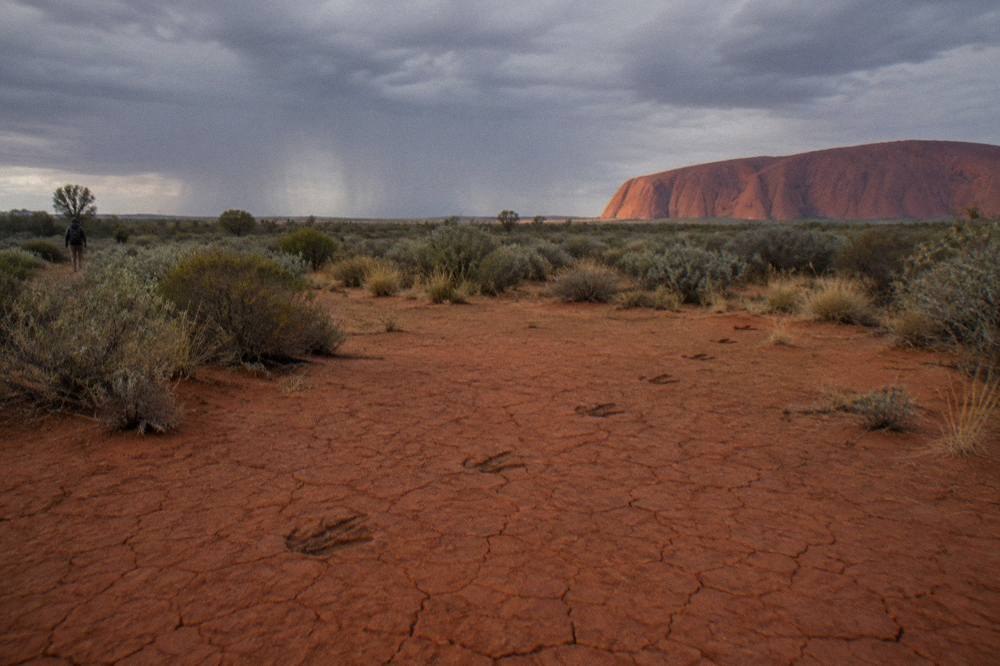 Uluru seen from a distance across open red earth, its flanks changing colour in low light