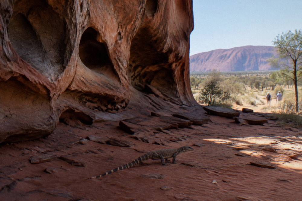 Close view of weathered sandstone surfaces at the base of Uluru showing ribs and shallow caves