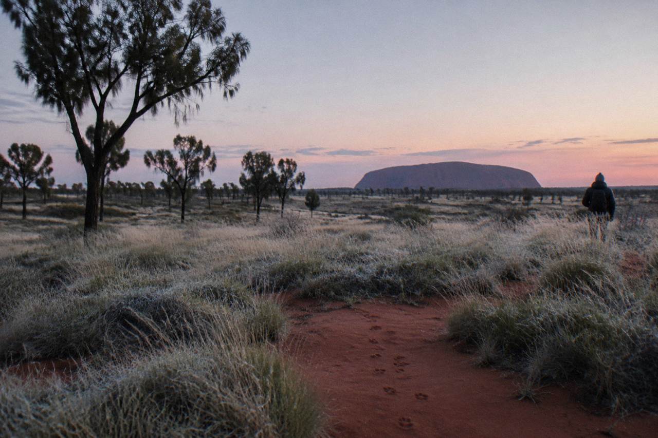 Desert plain at dawn with Uluru rising in the distance under a pale sky