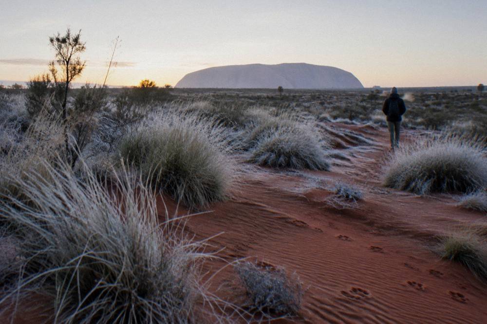 Pale early morning light on desert dunes with low dry grass and frost-tinted scrub