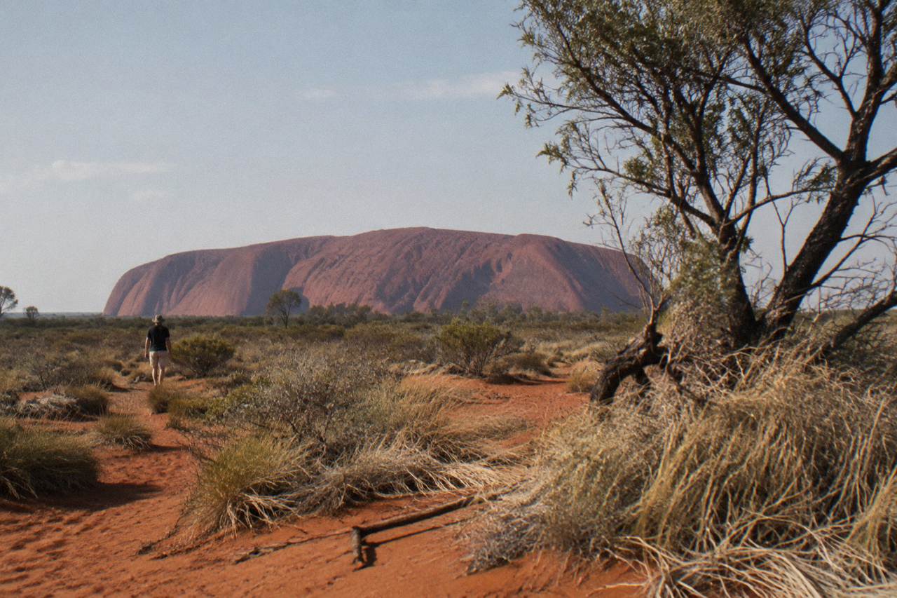 Red sand dunes with low desert shrubs leading toward Uluru under a wide pale sky