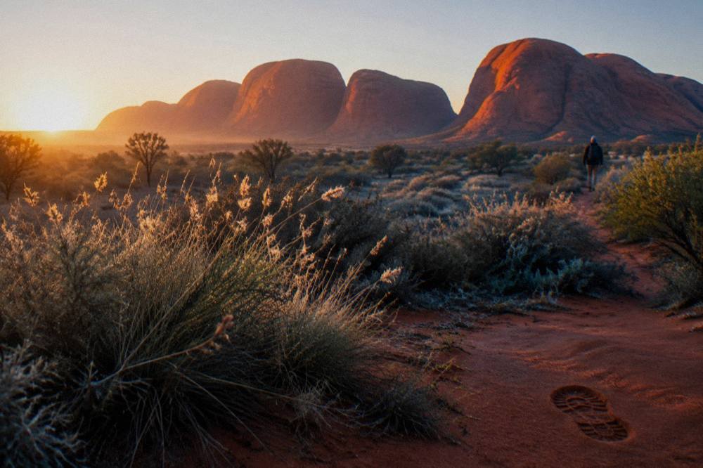 Golden morning light on the rounded rock domes of Kata Tjuta seen across open scrubland