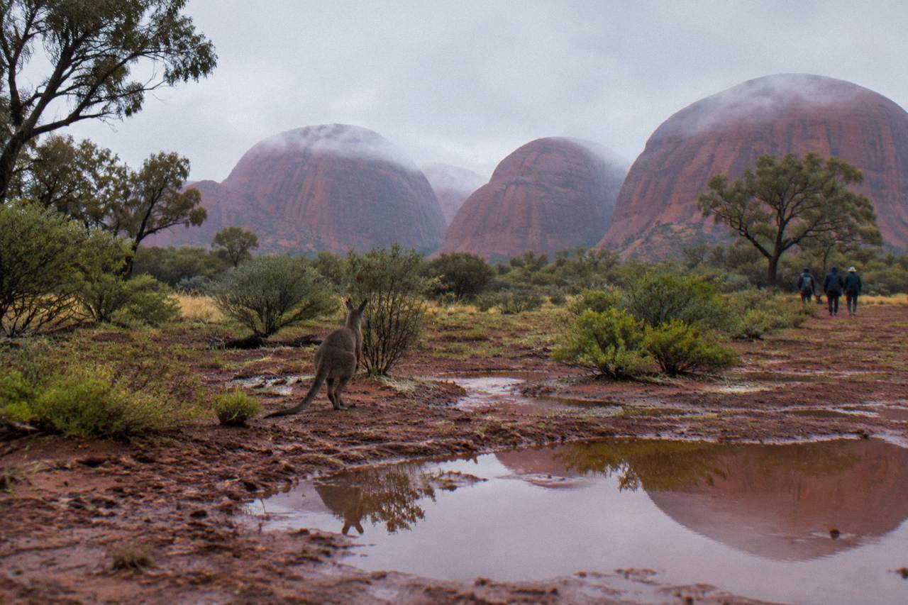 The domes of Kata Tjuta under a wide desert sky with red earth and spinifex in the foreground