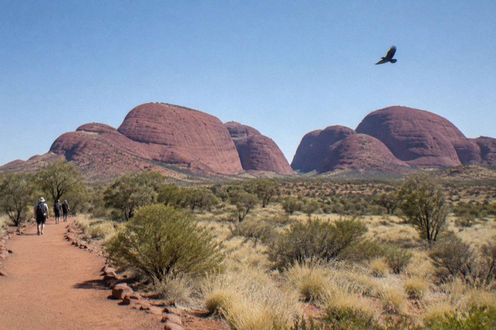 Rows of rounded red rock domes of Kata Tjuta under a wide blue sky
