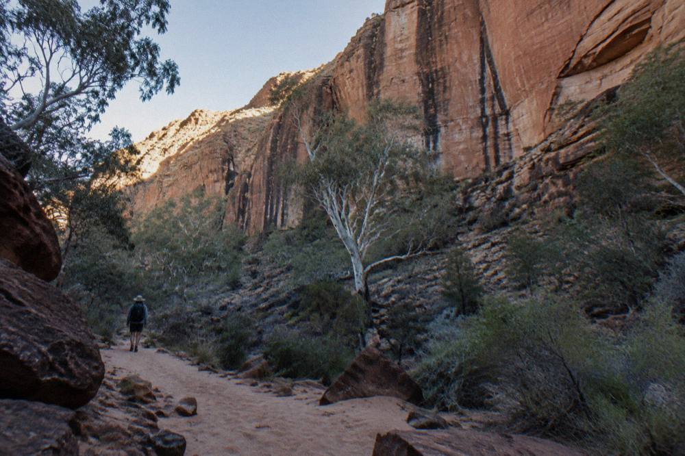Sheer sandstone cliffs of Kings Canyon rising above the gorge floor