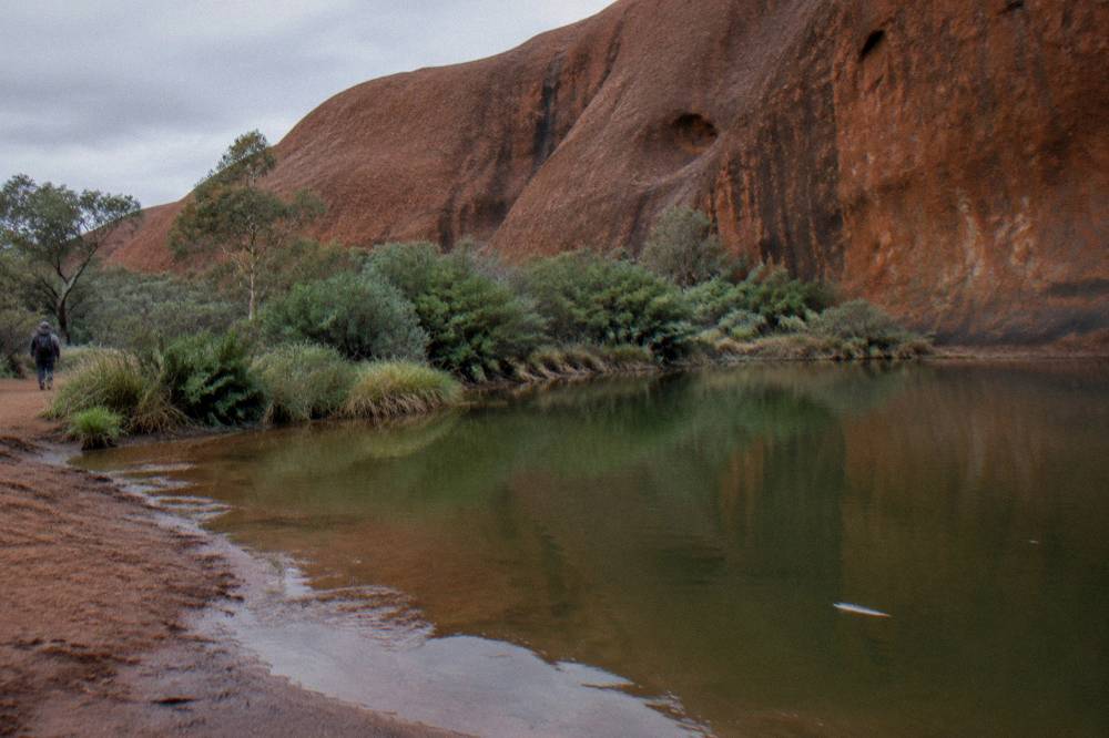 Still waterhole at the base of a towering red rock wall ringed by green shrubs