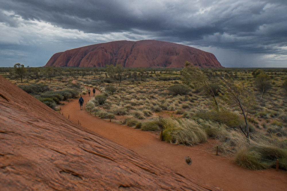 A marked footpath curving along the red earth at the base of Uluru