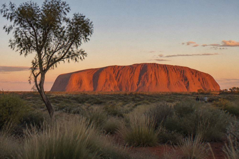 A wide view of Uluru's curved rock face glowing red under early morning light across open scrubland