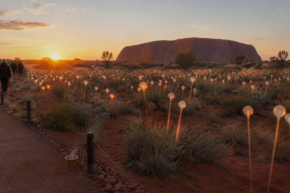 Field of Light installation at dawn with rows of glowing coloured spheres stretching across dark desert ground