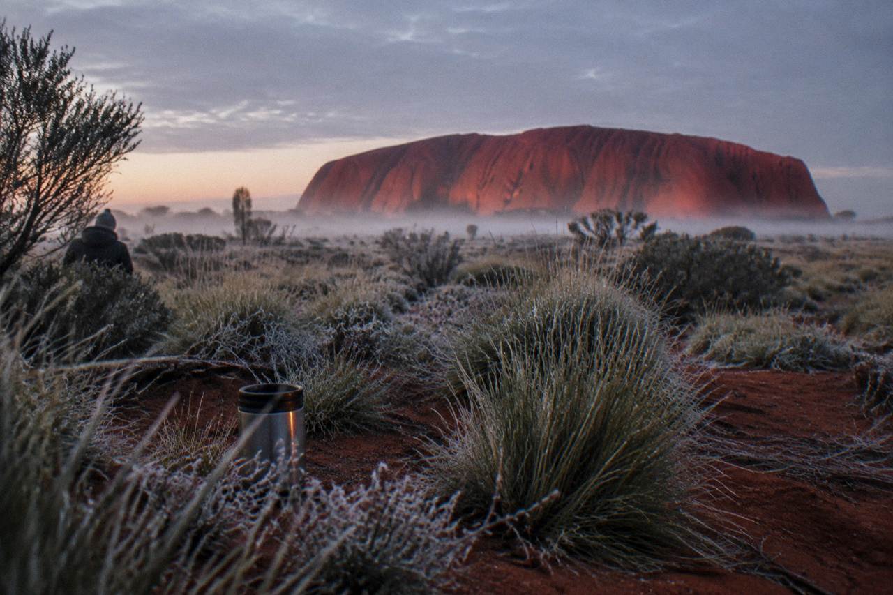 Uluru glowing red at dawn across open desert plain with low shrubs in the foreground