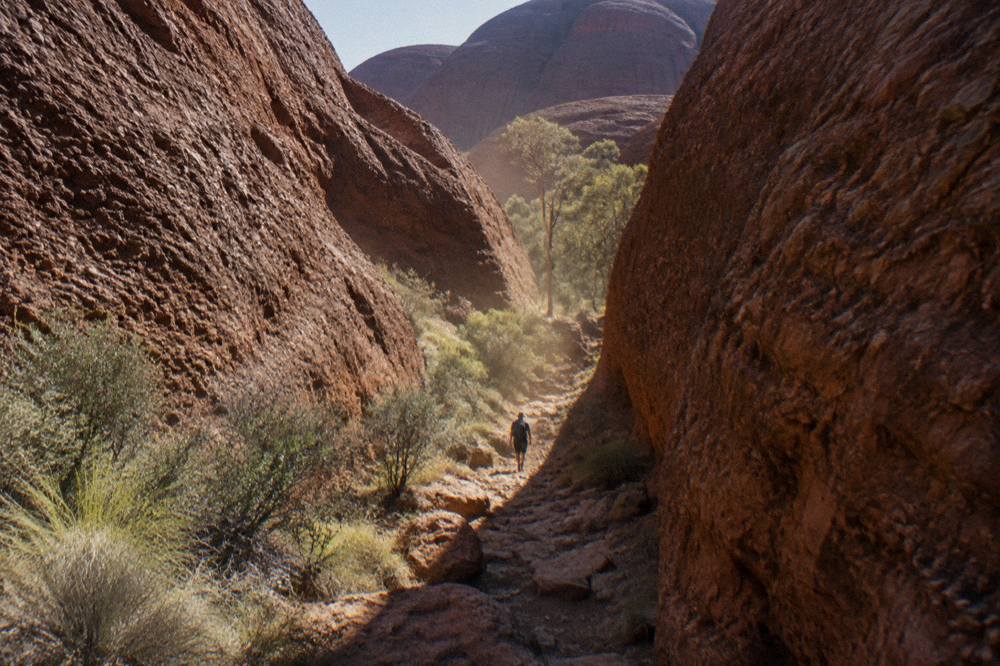 A rocky footpath winding between tall red rock walls inside a gorge